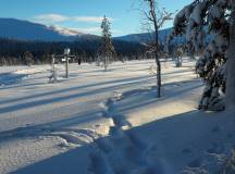 Cross-Country Skiing in Venabu