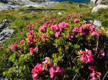 Walking in Kandersteg