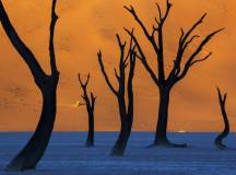 Botswana & Namibia: Delta & Dunes