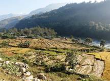 Agricultural terraces en route from Arughat to Lapu Besi, Manaslu Circuit, Nepal