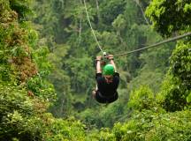 Zip Line