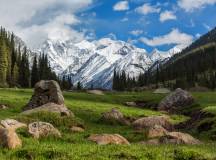 Wild pastures, Kyrgyzstan