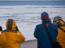 Four Arctic Islands: Spitsbergen, Jan Mayen, Greenland & Iceland