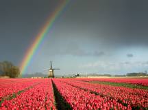 The Netherlands