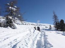 Snowshoeing in the Dolomites – Premium Adventure