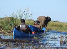 Zambezi Canoe Safari