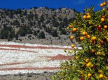 Walking in North Cyprus