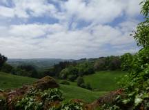 Camino de Santiago Trek