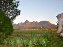 Cycling the Cape & Winelands