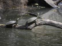 Natural Highlights of Costa Rica