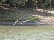 Natural Highlights of Costa Rica