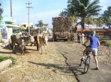 Cycle Kerala & Tropical India