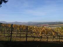 A Taste of Tuscany Cycling