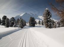 Dolomites cross-country-ski