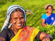 Sri Lanka Culture