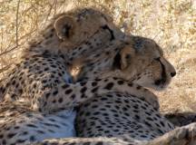 Discover Namibia – Camping