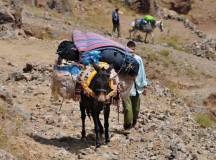 Mt Toubkal Long Weekend