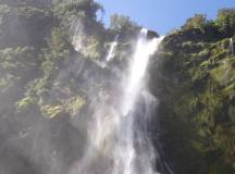 Trails of New Zealand