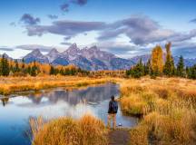 Yellowstone Wildlife Trails – Hotels