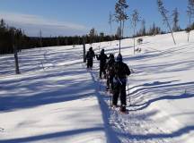 Snowshoeing