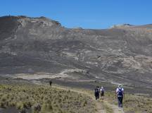 Walking in the Azores