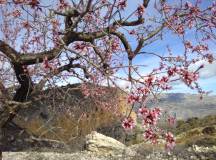 Sierra de Aitana Trek