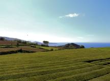 Walking in the Azores