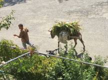 Cycling in Albania