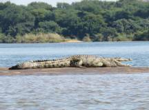 Zambezi Canoe Safari
