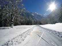 Cross-country Skiing in Kandersteg