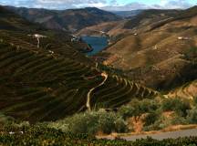 Cycling in the Douro Valley