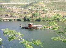 Cycling in the Douro Valley