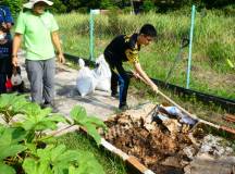 Harvesting Rainwater