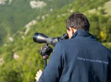 Rewilding Apennines team monitoring wildlife