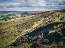 rosedale_railway_path_north_york_moor_NP