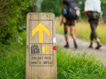 Walkers on the Caminso