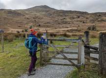 Moel Hebog