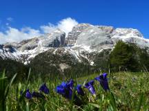 Walks in the Italian Dolomites