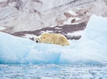 Arctic Saga: Spitsbergen, Faroes & Jan Mayen
