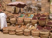 Ancient Egypt & Nile Cruise – Premium Adventure