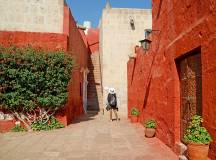 Best of Peru – Premium Adventure