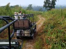 Into Nepal: Walks & Wildlife