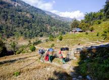 Annapurna Trails & Chitwan – Premium Adventure