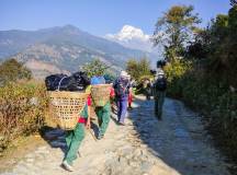 Annapurna to Chitwan: Walks & Wildlife