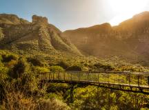 Cape Town and the Garden Route – Premium Adventure