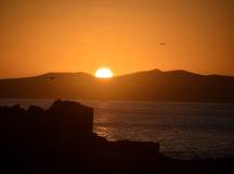 Cape Town and the Garden Route – Premium Adventure