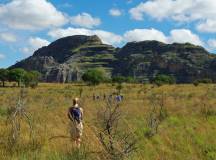 Madagascan Discoverer