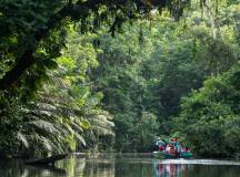 Boat tour Tortuguero canals