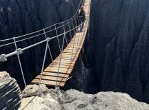 Madagascan Discoverer