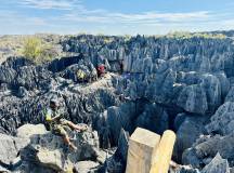 Madagascan Discoverer